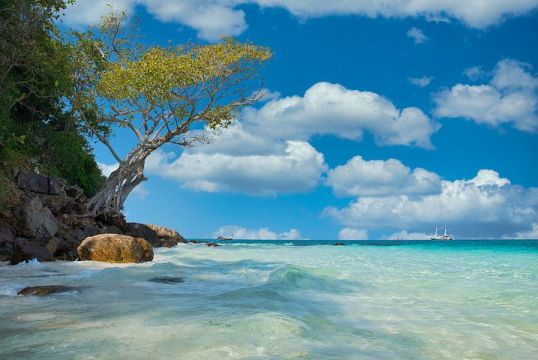 深圳国际快递哪家好？+东莞华惠