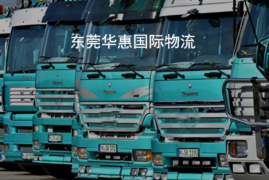 突尼斯国际快递专线能取代海运吗+东莞华惠