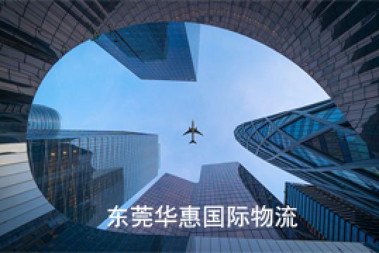 虎门dhl货运国际快递如何规避风险+东莞华惠