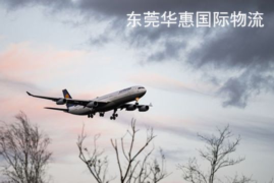 东莞邮寄博茨瓦纳国际快递如何选择物流渠道+东莞华惠