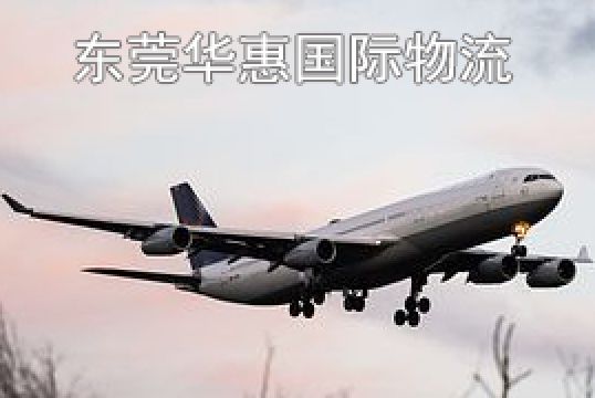 广东寄法国国际空运收件人信息填写方法+东莞华惠