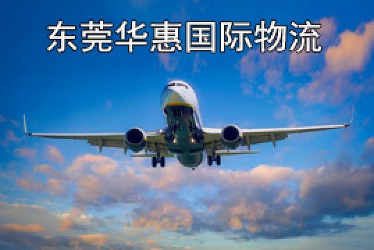 东莞大岭山发DHL国际快递个人物品申报方法+东莞华惠